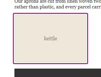 An affected element, outlined on the demo page